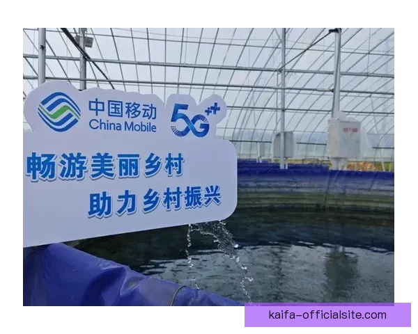 凯发体育官网入口助力创新发展，引领行业新风潮推动数字化转型与智能升级